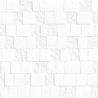 Fragment Concept White