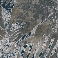 Dec.tropic Black Set (A,B,C)